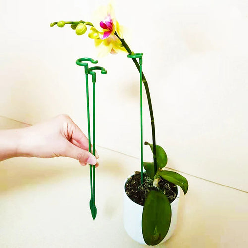 PlantGuard Kit de Tuteurs Premium pour Plantes