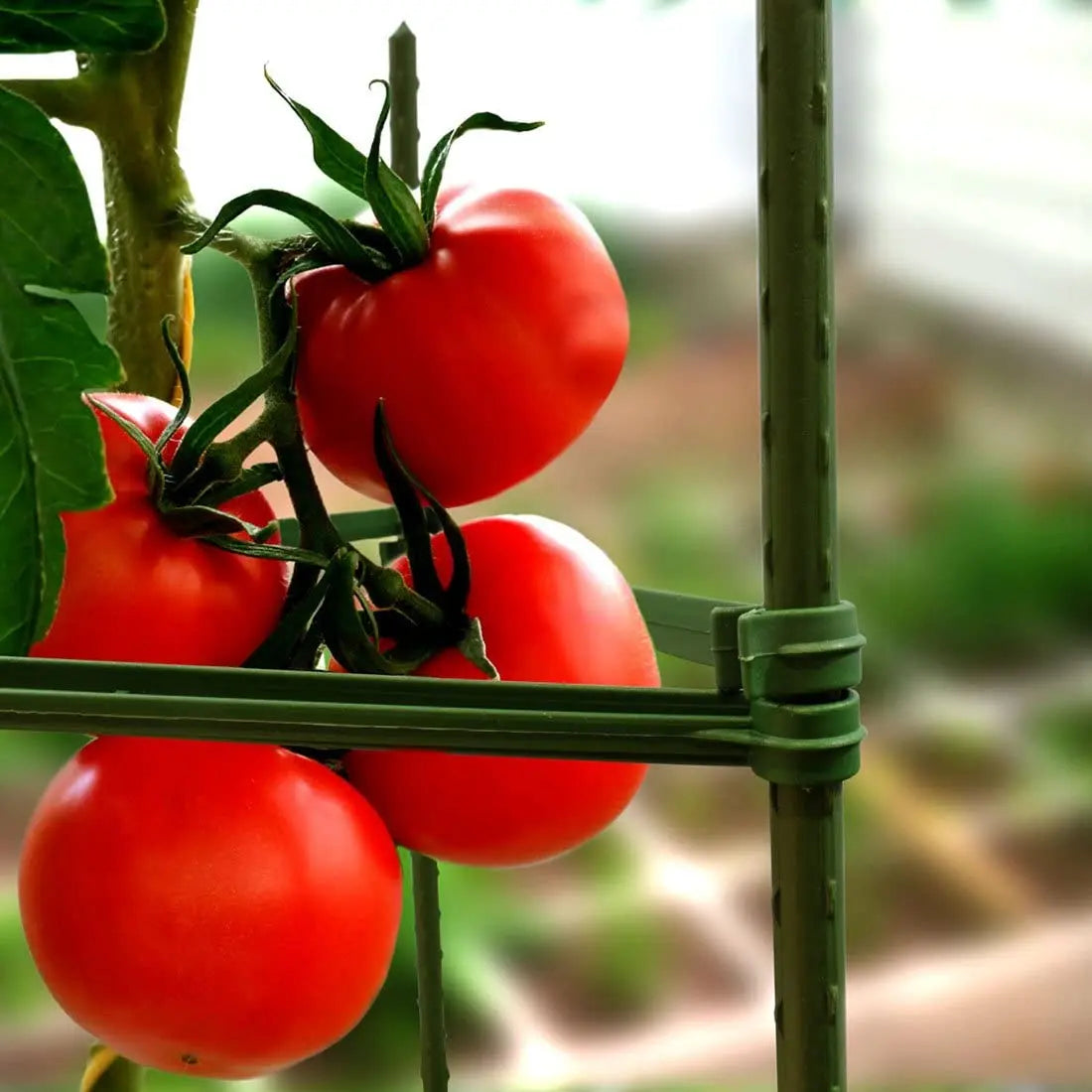 GreenSpire Piquets de Jardin Ultra-Résistants