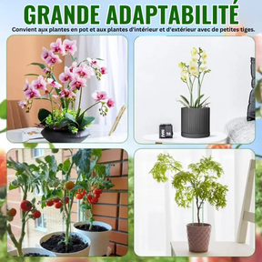 PlantGuard Kit de Tuteurs Premium pour Plantes